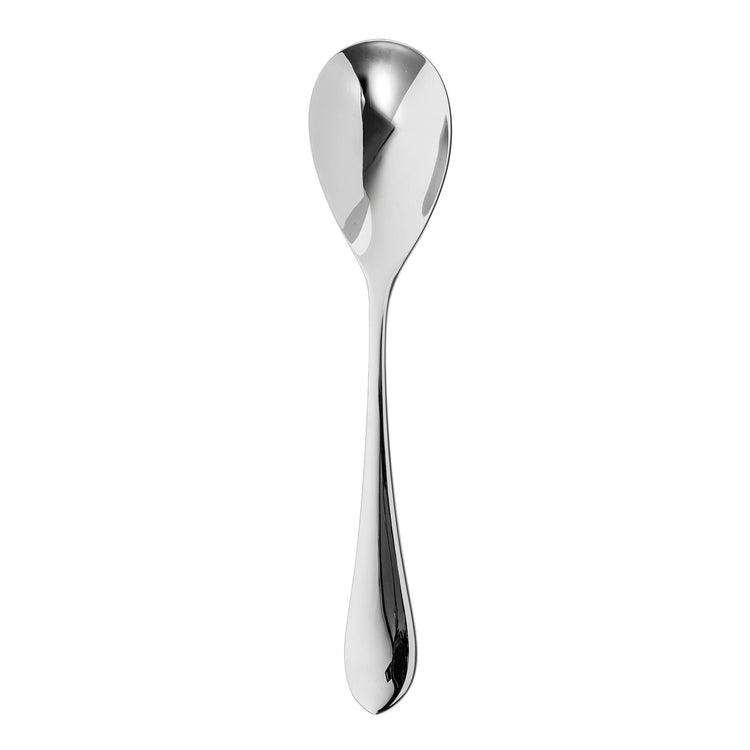 Quinton Bright Serving Spoon