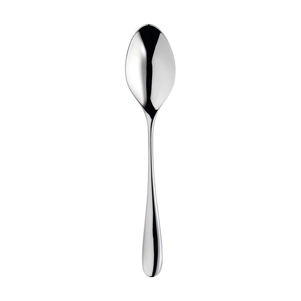 Arden Bright Coffee Spoon