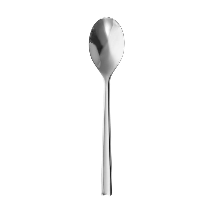 Blockley Bright Serving Spoon