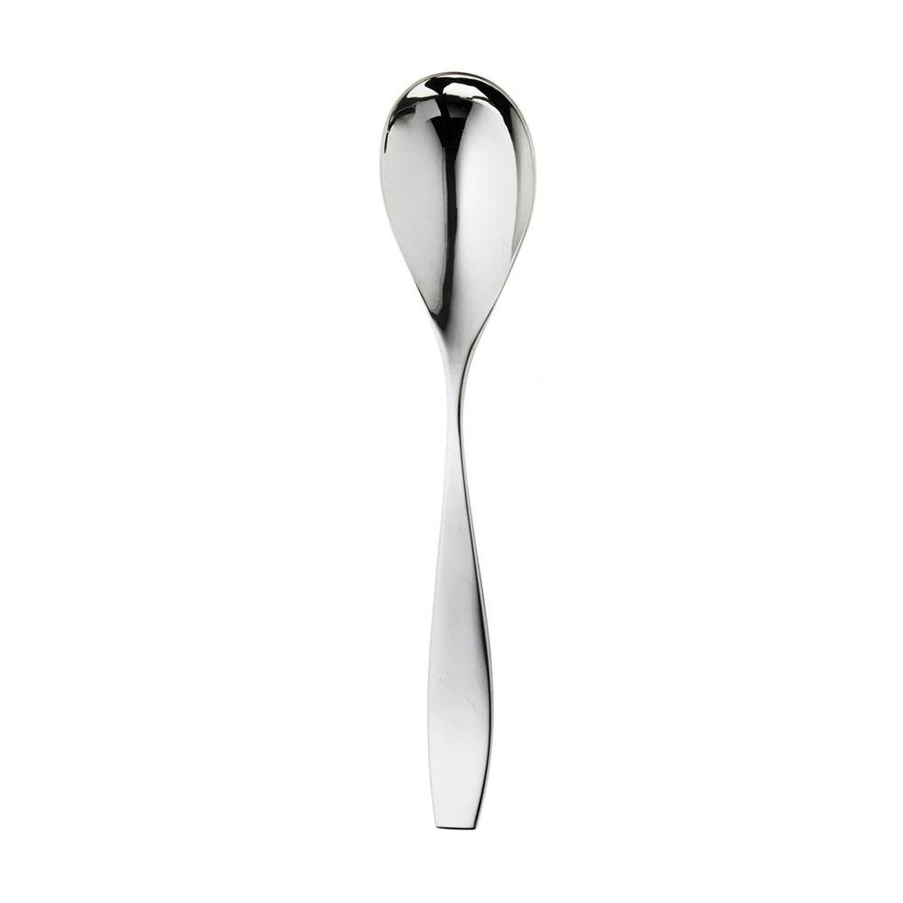 Vista Bright Serving Spoon